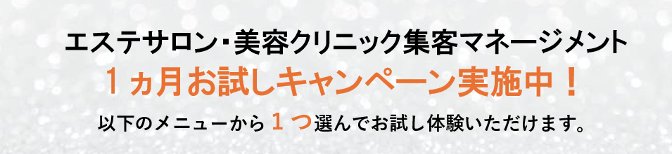 エステサロン・美容クリニック集客マネージメントお試し体験